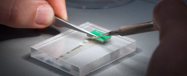 Przełom w leczeniu urazów rdzenia kręgowego?