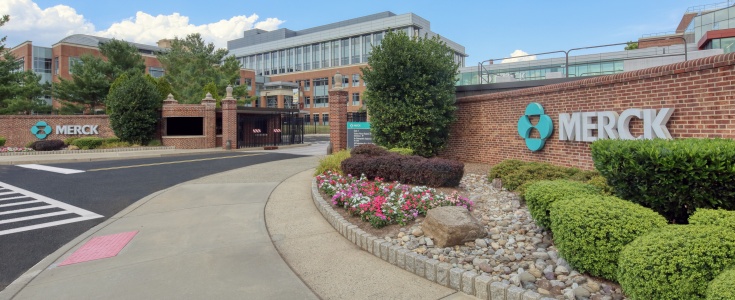 Rewolucja Merck i imec? Półprzrewodniki zamiast testów na zwierzętach?