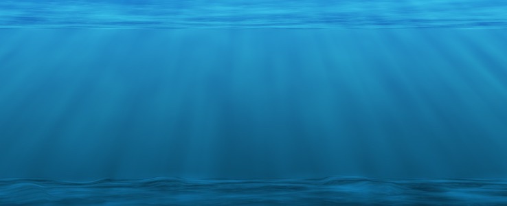 Gdańska Pirania na straży dna Bałtyku