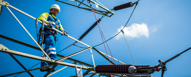 Tauron przygotowuje gigaprojekt elektrowni Rożnów II