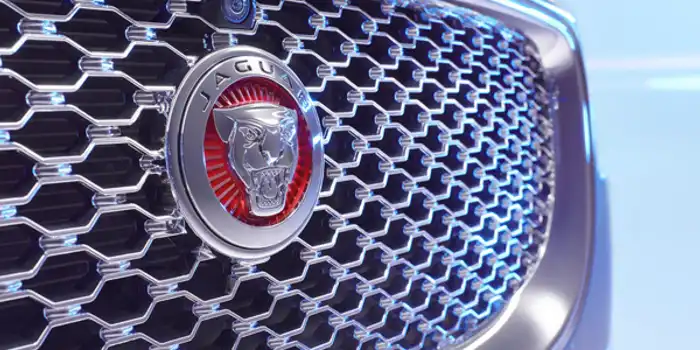jaguar-sigil-grill