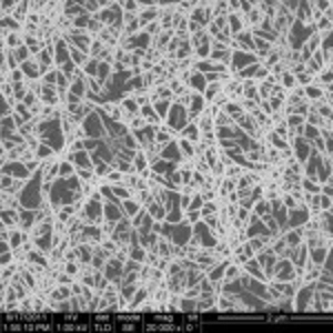 carbon_nanoelectronics