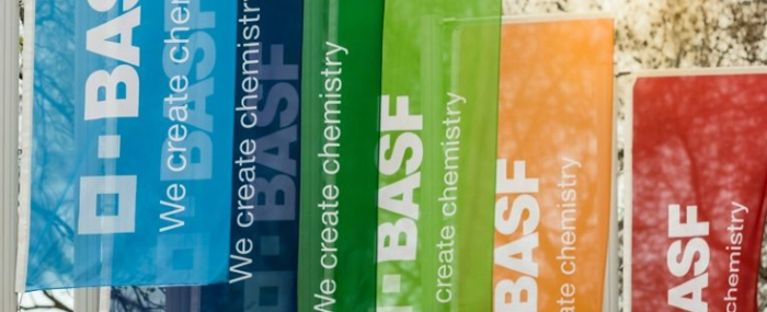 colour-flags
