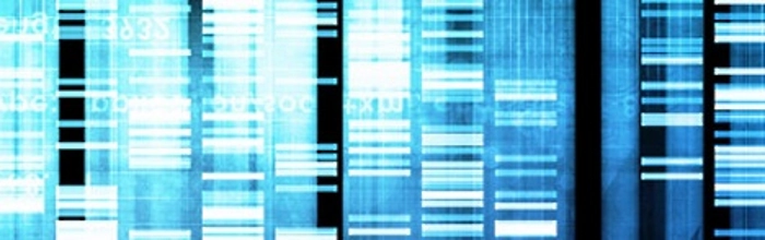 metamaterial_general