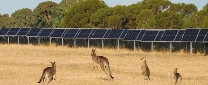 Energy_Mokoan_project