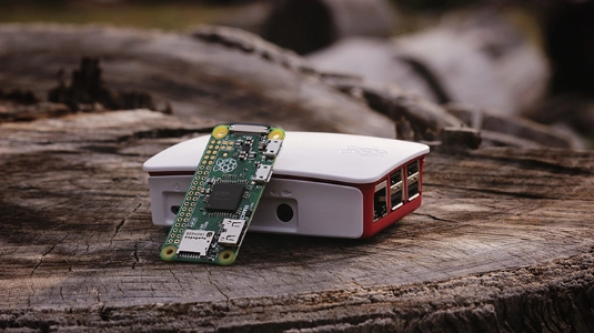 raspberry-738px