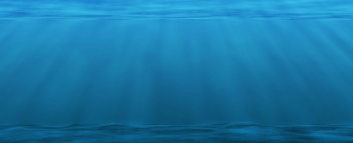Buddy-Nath-underwater-sea