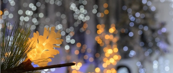 Ime007-christmas-lights-led