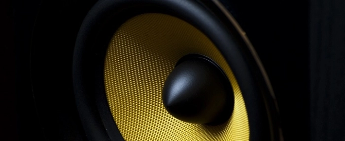 Republica-speaker