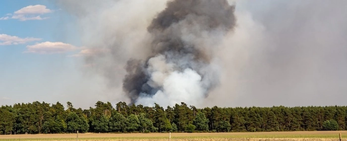 Seaq60-woods-fire