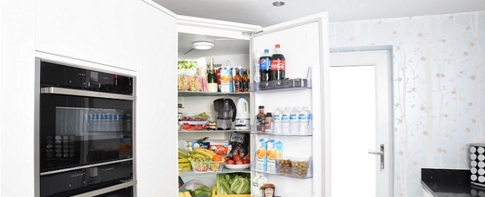 difisher-fridge-appliances