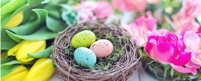 jill111-easter