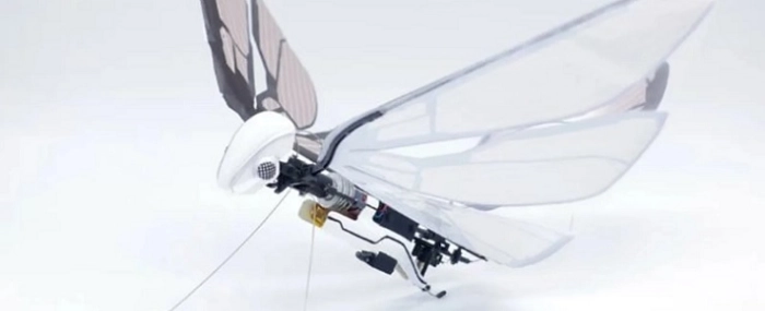 Metafly-title