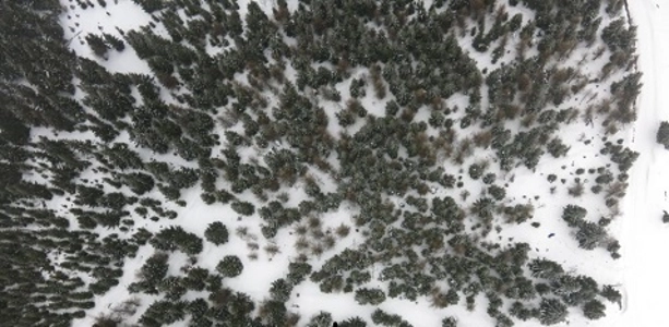 dron