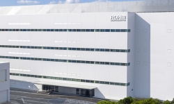Apollo-Chikugo-plant