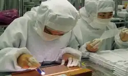 production_x_l
