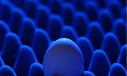 qdled_quantum-dot_big