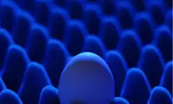 qdled_quantum-dot_big