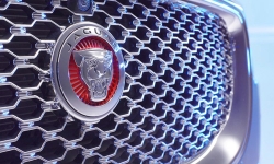 jaguar-sigil-grill
