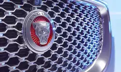 jaguar-sigil-grill