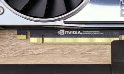 Liviorki-nvidia-2