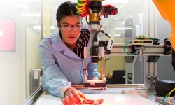 lab