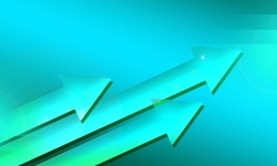arrows
