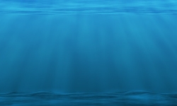 Buddy-Nath-underwater-sea