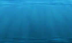 Buddy-Nath-underwater-sea