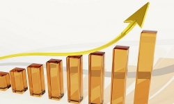 PublicDomainPictures-graph-growth