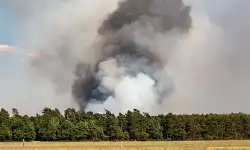Seaq60-woods-fire