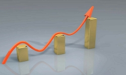 business-growth