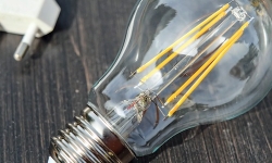 couleur-light-bulb-energy