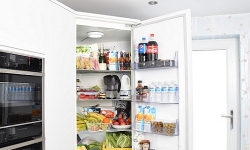 difisher-fridge-appliances