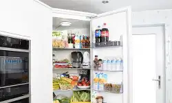 difisher-fridge-appliances
