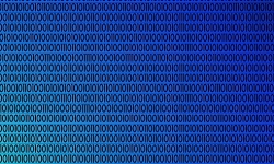 geralt-binary-data