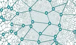 geralt-network-universal