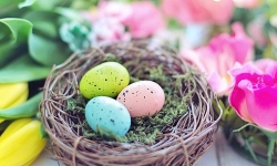 jill111-easter