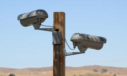 Hidden-HillsCA-detectors