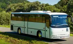 bus