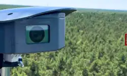KPN