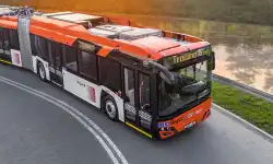 Trollino-18