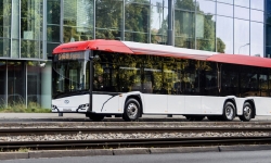 Urbino15