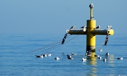 sea2-title