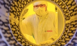 lab