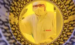 lab