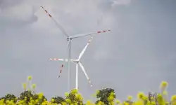 wind-farm