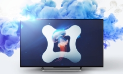 OLED