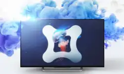 OLED