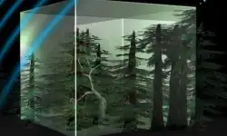 space-biomass-mission